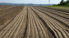 074_TZ60_P1110246_cr