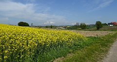 094_TZ60_P1110267_cr