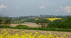 095_TZ60_P1110268_cr