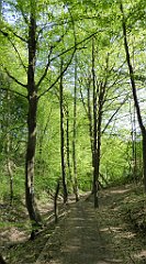 113_TZ60_P1110286_cr