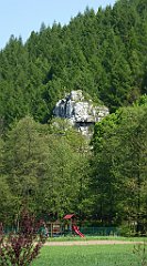 123_TZ60_P1110296_cr