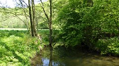 141_TZ60_P1110314_cr