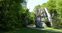 222_TZ60_P1110334_cr