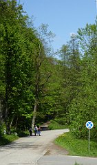 224_TZ60_P1110335_cr