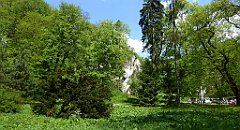 269_TZ60_P1110340_cr