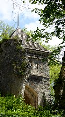 278_TZ60_P1110345_cr