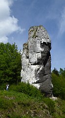 376_TZ60_P1110362_cr