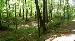 424_TZ60_P1110372_cr