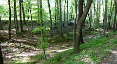 426_TZ60_P1110374_cr