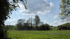 427_TZ60_P1110375_cr