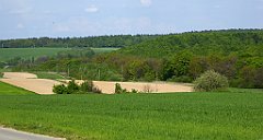 447_TZ60_P1110388_cr