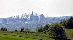 461_TZ60_P1110402_cr