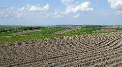 466_TZ60_P1110407_cr