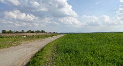 477_TZ60_P1110418_cr