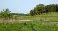 504_TZ60_P1110443_cr