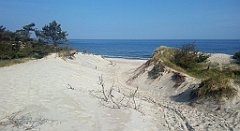 128_A806_IMG_20160529_082125_cr