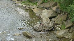 0111a_3D_P1080307_cr