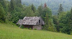 0163a_3D_P1080355_cr