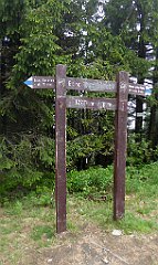 0238_TZ60_P1110602_cr