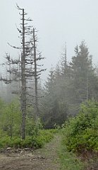 0244_TZ60_P1110608_cr