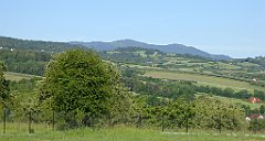 0059_TZ60_P1110646_cr