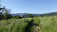 0069_TZ60_P1110657_cr