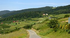 0123_TZ60_P1110704_cr