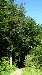 0150_TZ60_P1110725_cr