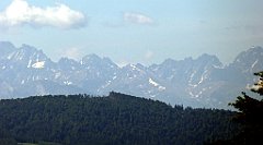 0184_TZ60_P1110763_cr