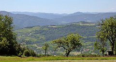 0197_TZ60_P1110774_cr