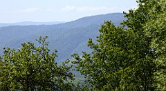 0203_TZ60_P1110780_cr