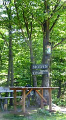 0220_TZ60_P1110790_cr