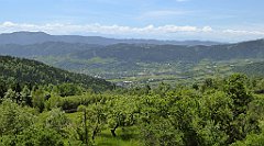 0236_TZ60_P1110798_cr