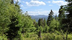 0353_TZ60_P1110851_cr