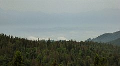 045_TZ60_P1110901_cr