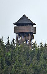 049_TZ60_P1110905_cr