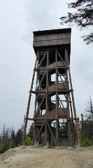 063_TZ60_P1110920_cr