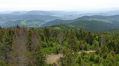 065_TZ60_P1110922_cr