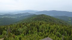 067_TZ60_P1110926_cr