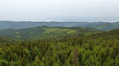 068_TZ60_P1110928_cr