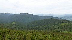 071_TZ60_P1110937_cr