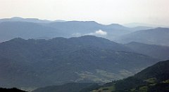 092_TZ60_P1110961_cr