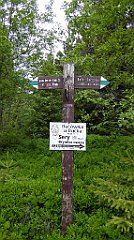 122_TZ60_P1110981_cr