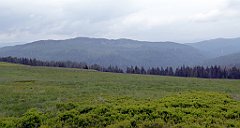 135_TZ60_P1110990_cr