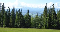 0110_TZ60_P1120061_cr