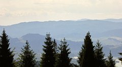 0115_TZ60_P1120066_cr