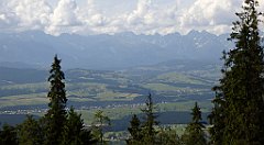 0117_TZ60_P1120068_cr