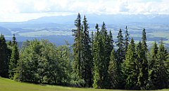 0130_TZ60_P1120080_cr