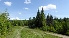 0141_TZ60_P1120091_cr