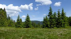 0142_TZ60_P1120092_cr